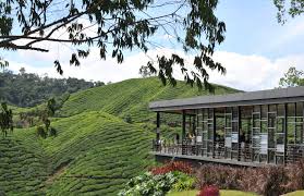Cameron Highlands Hotel