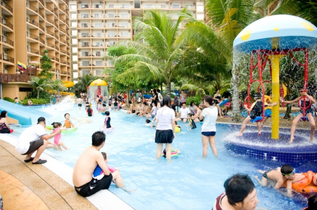 Gold Coast Morib