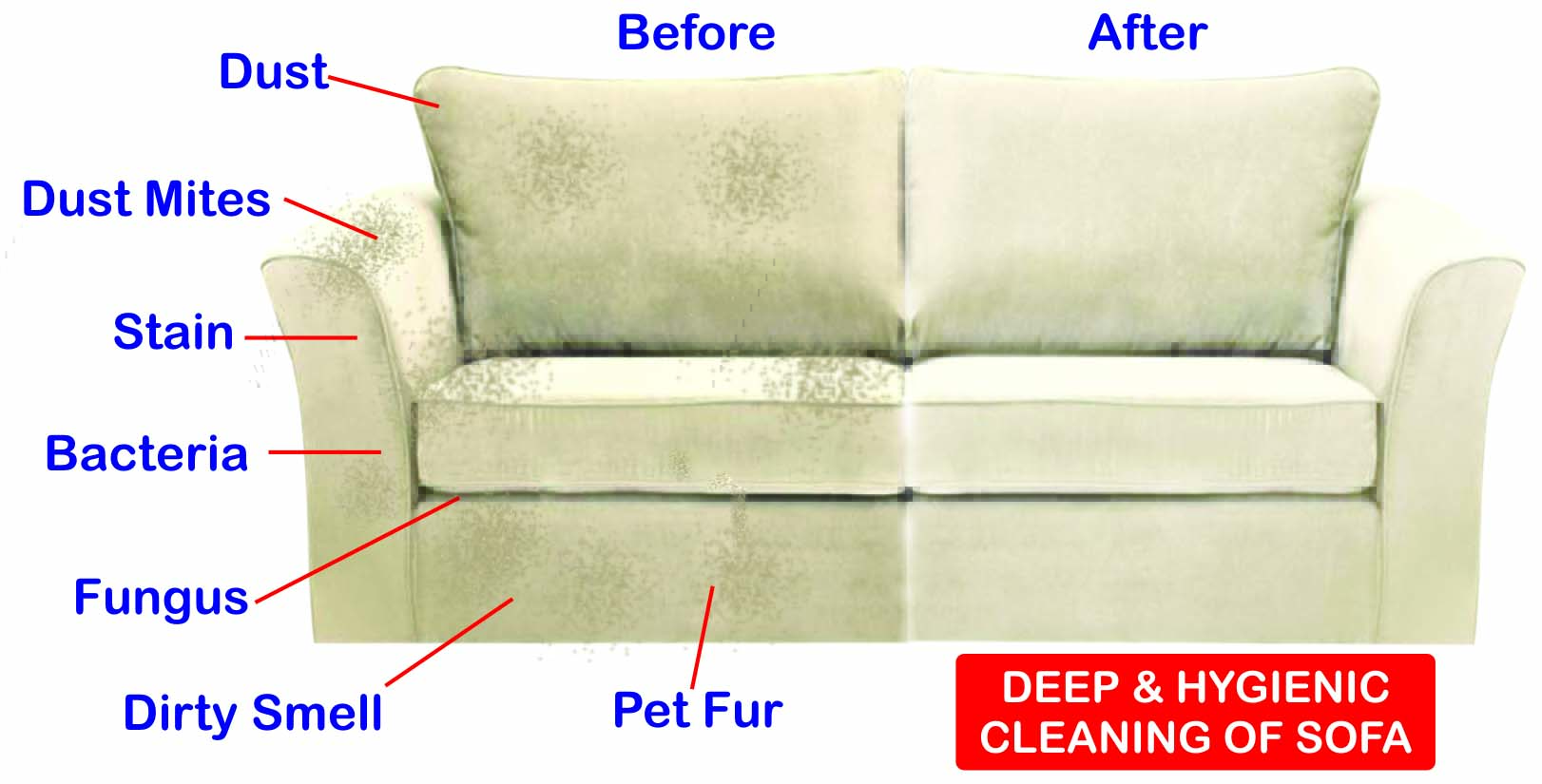 Carpet Cleaning Damansara PJ KL