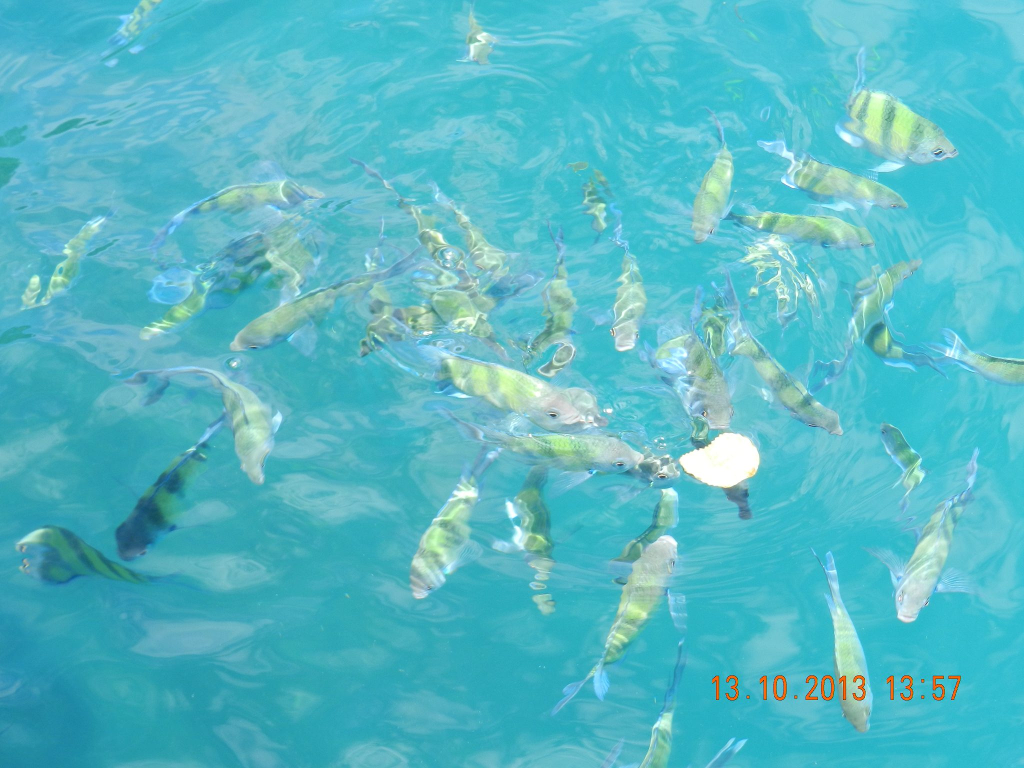 Krabi – Hat Yai