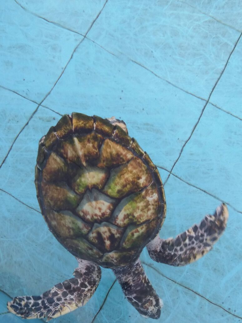 Pakej lawatan  Ke Melaka