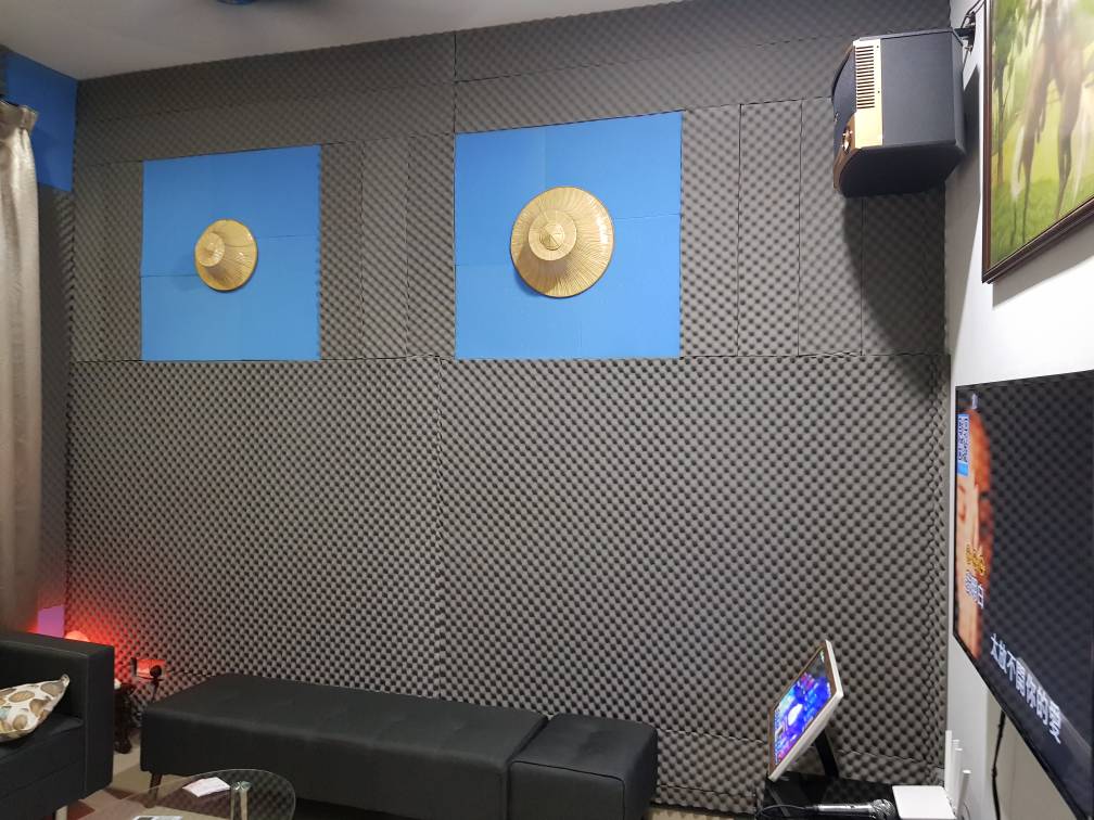 Acoustic Wall Panel and Wood Skirting