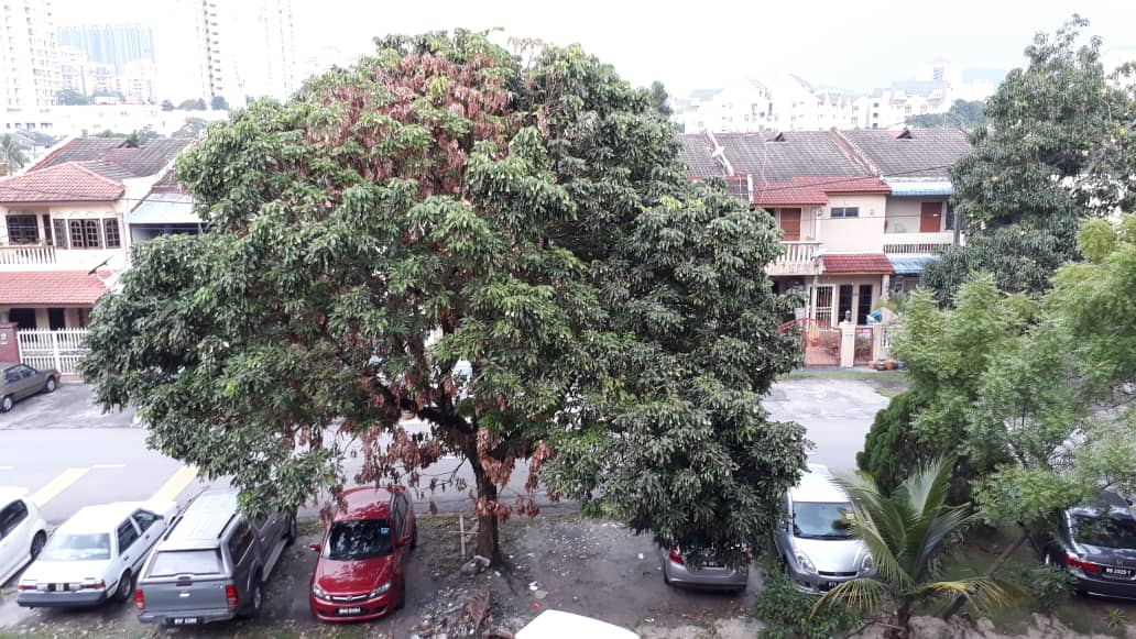 Amapng (Taman Nirwana) office for rent