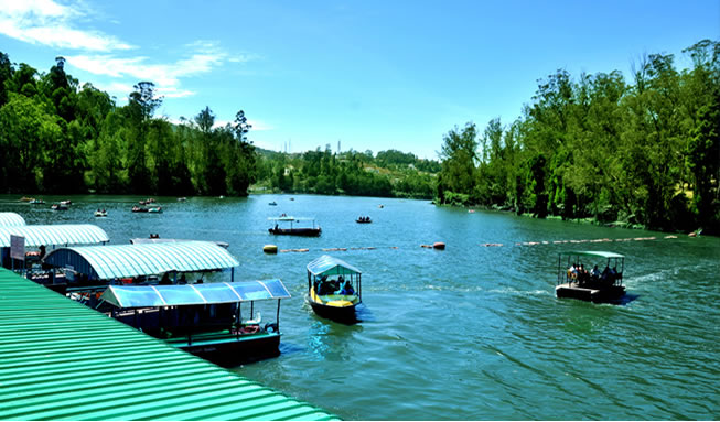 new south india tour packages cheap rate service