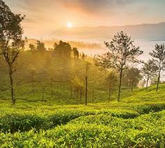 new south india tour packages 10% discount