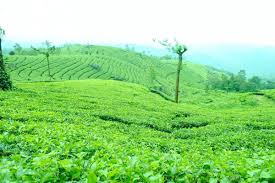 new south india tour packages 10 days& more