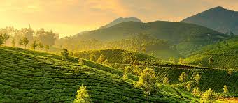 new south india tour packages  cheap rate service