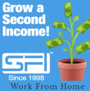 Home business Network marketing MLM Work from Home