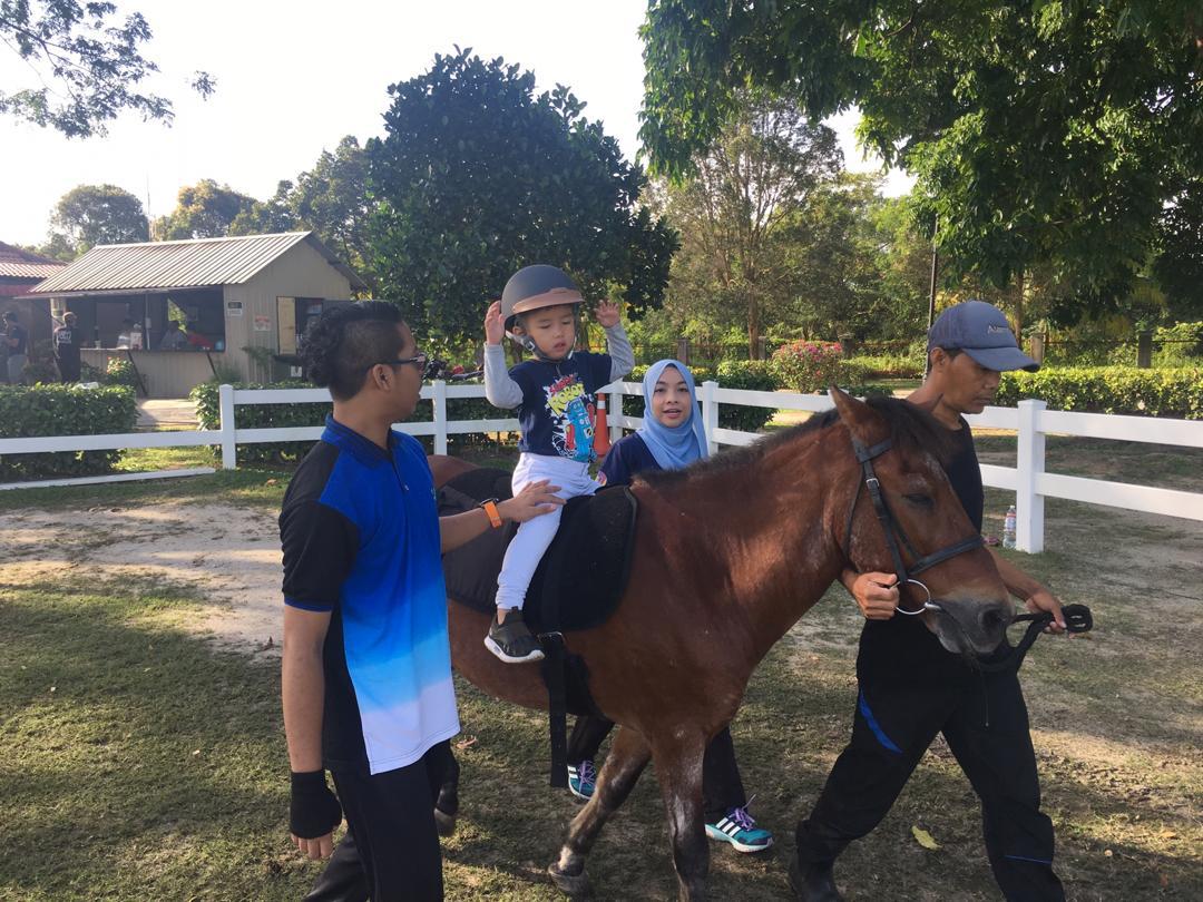 Horses for Young Hippotherapy