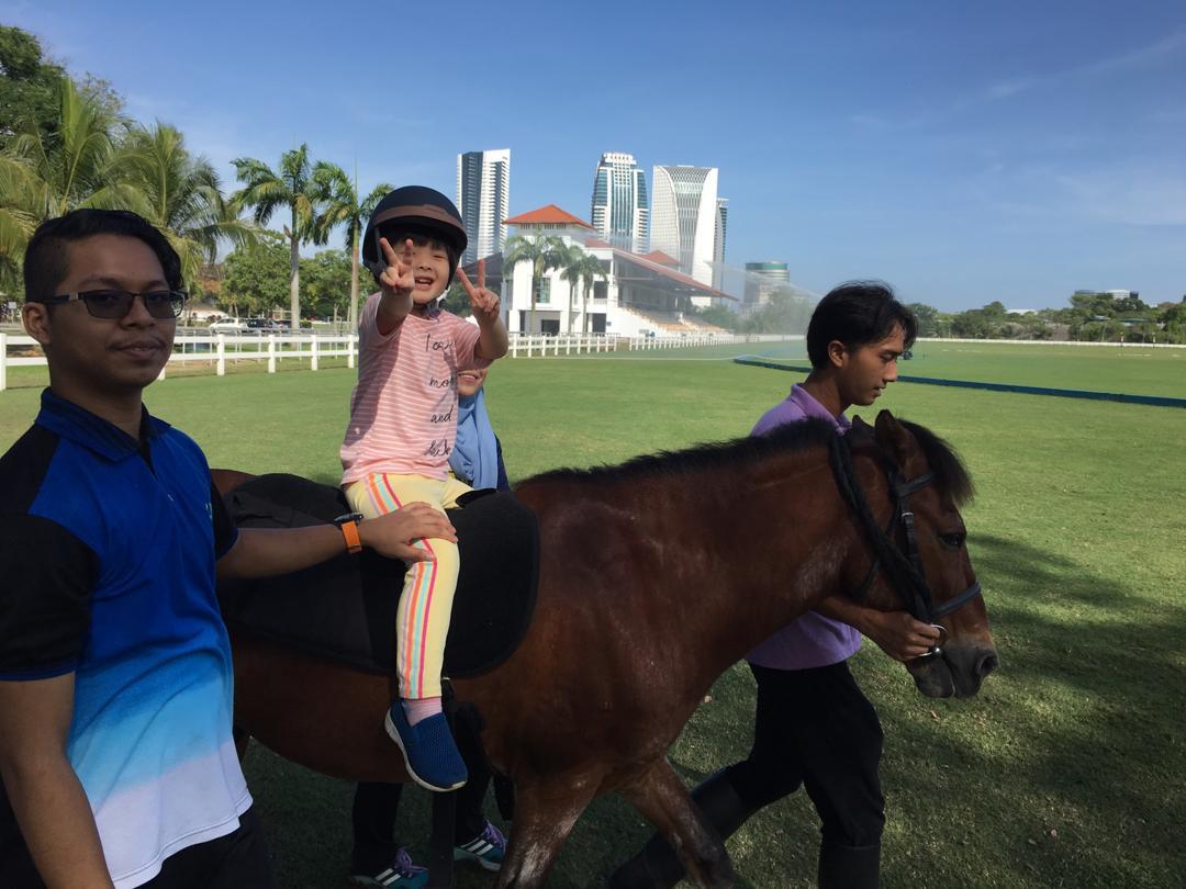 Horses for Young Hippotherapy