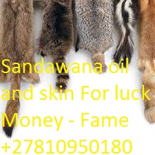 Join illuminati +27835410199