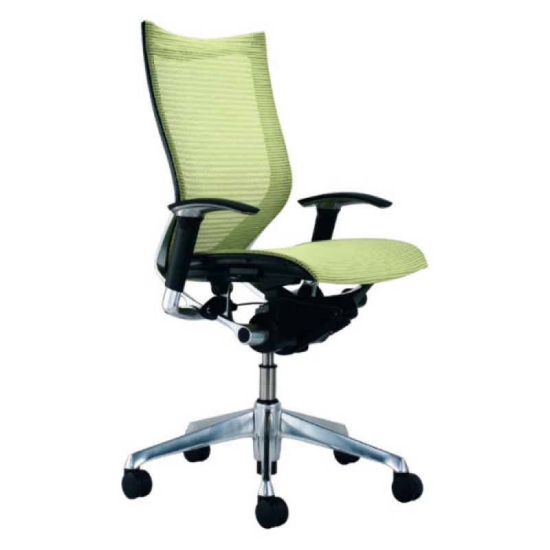 Buy Professional Mesh Office Chairs