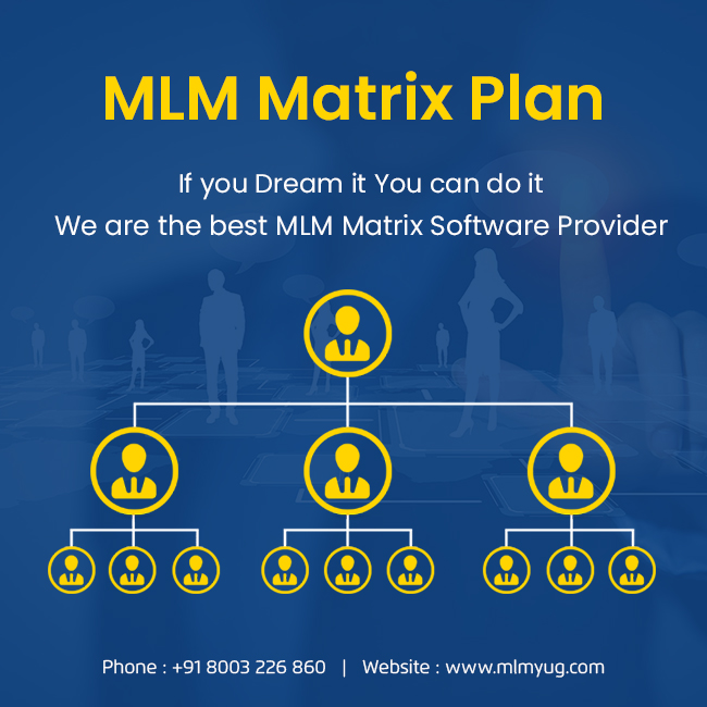 Direct Selling Software Development Company