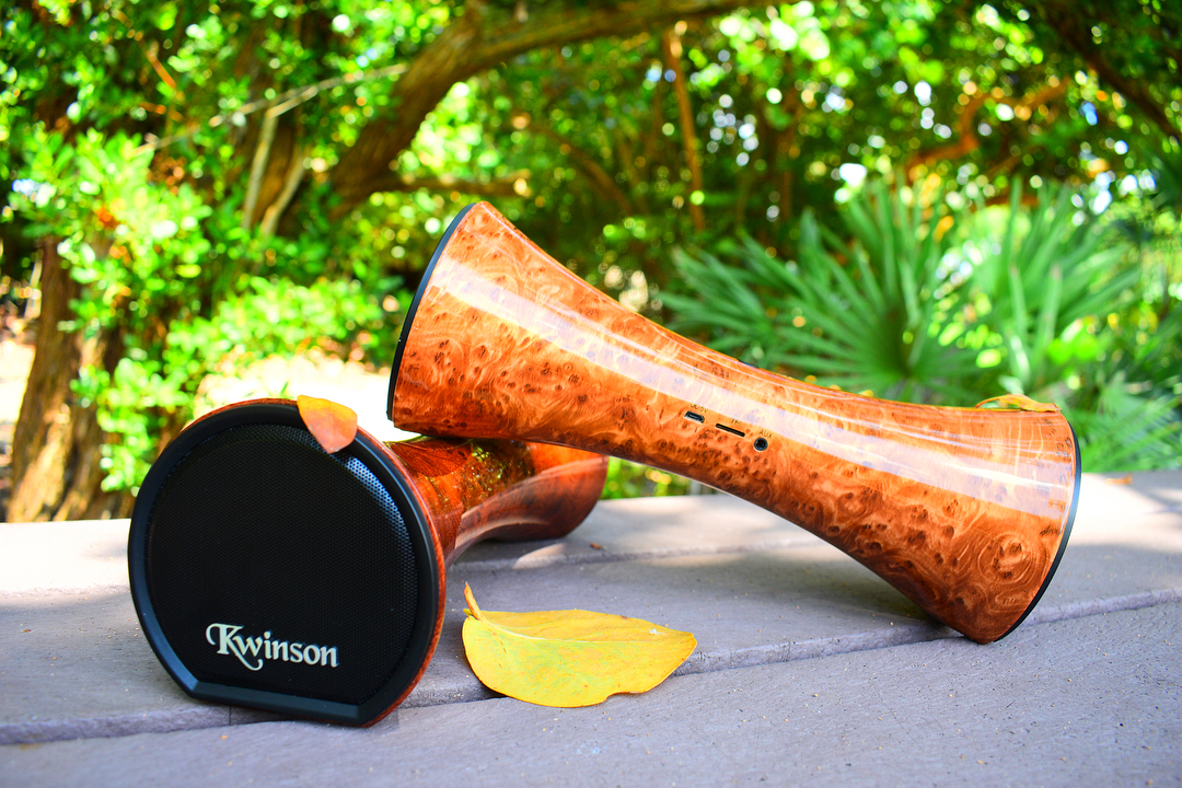 Make Parties More Enjoyable With Best Party Speakers