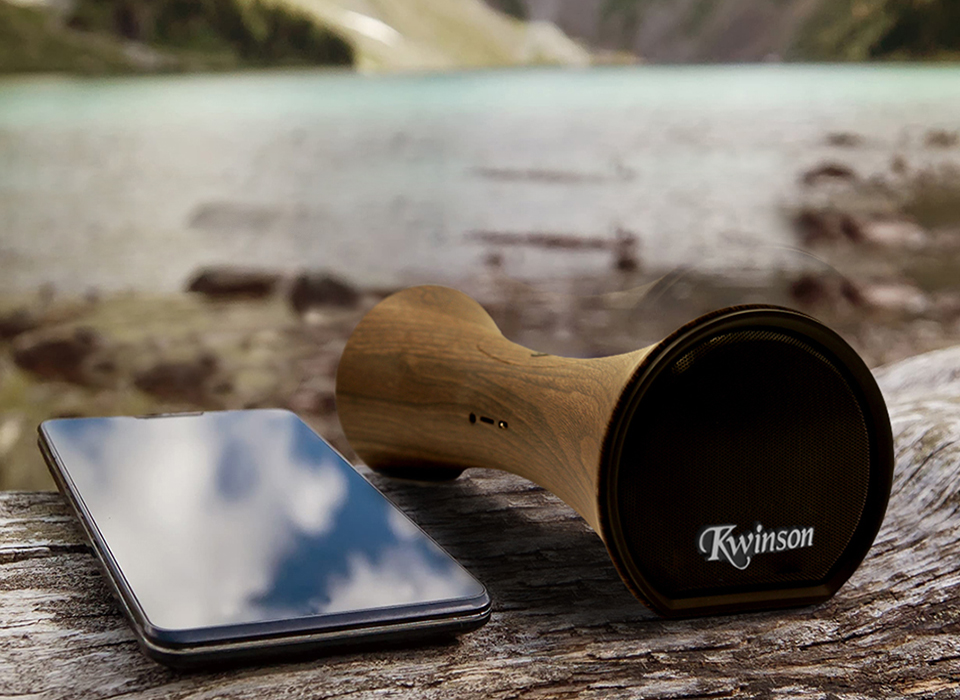 Best Party Speakers For Home Parties