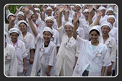 Supply Manpower & Foreign Workers