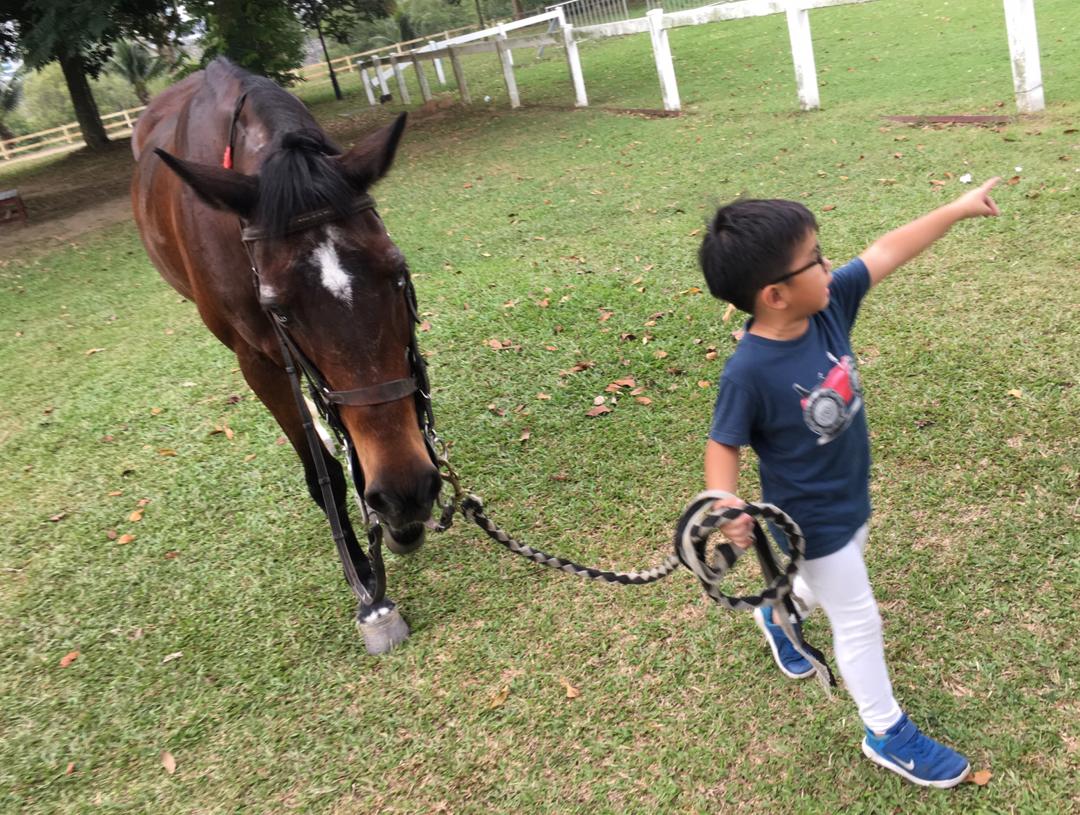 Mashutherapy 马术治疗