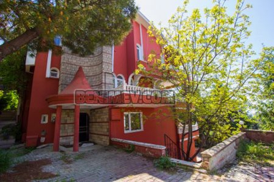 International real estate