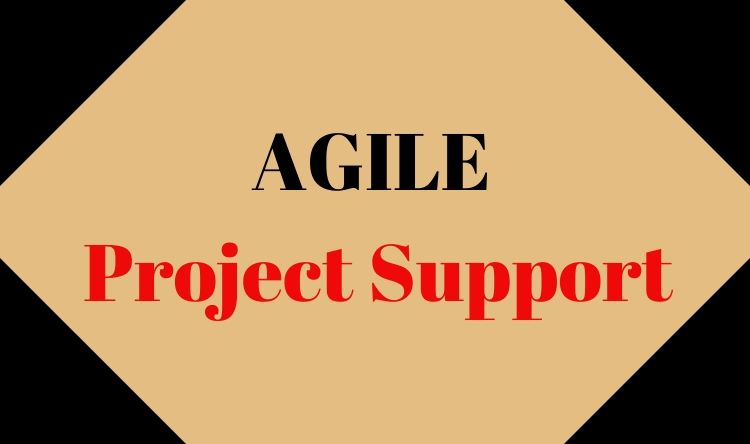 AGILE Project Support