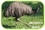 Professional Logistics and Wildlife Relocation Service
