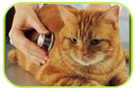 Professional Logistics and Wildlife Relocation Service