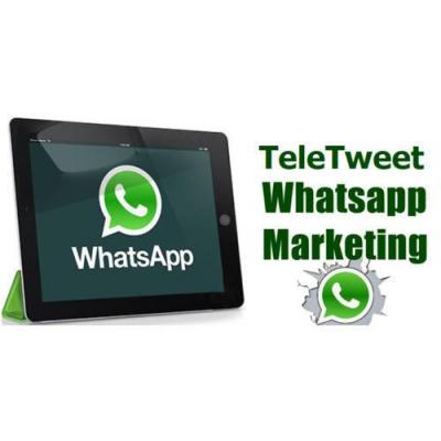 Promotional whatsapp