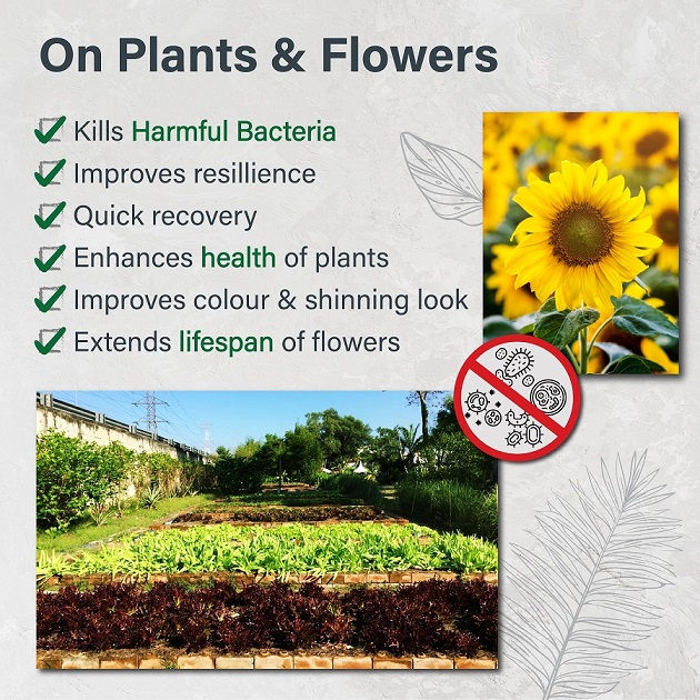 OOMMI PROBIOTICS PLANTS & FLOWERS – 1L