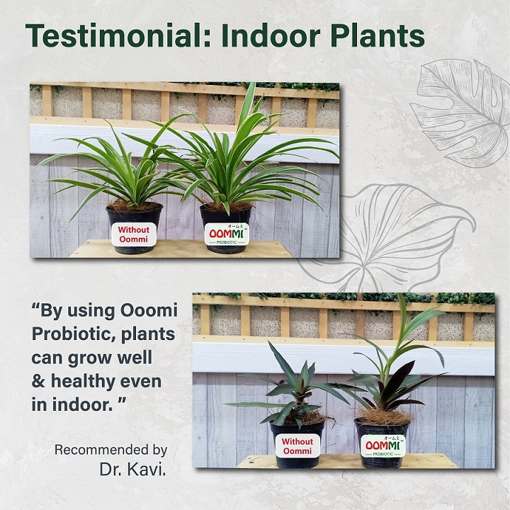 OOMMI PROBIOTICS PLANTS & FLOWERS – 1L