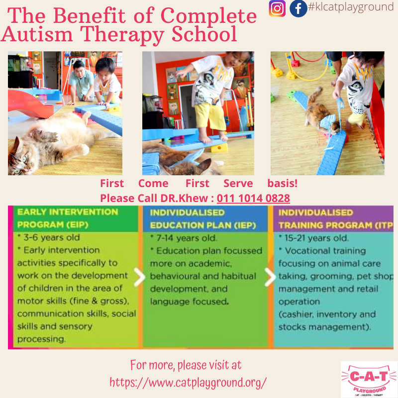 Complete Autism Therapy School ( C-A-T SCHOOL)