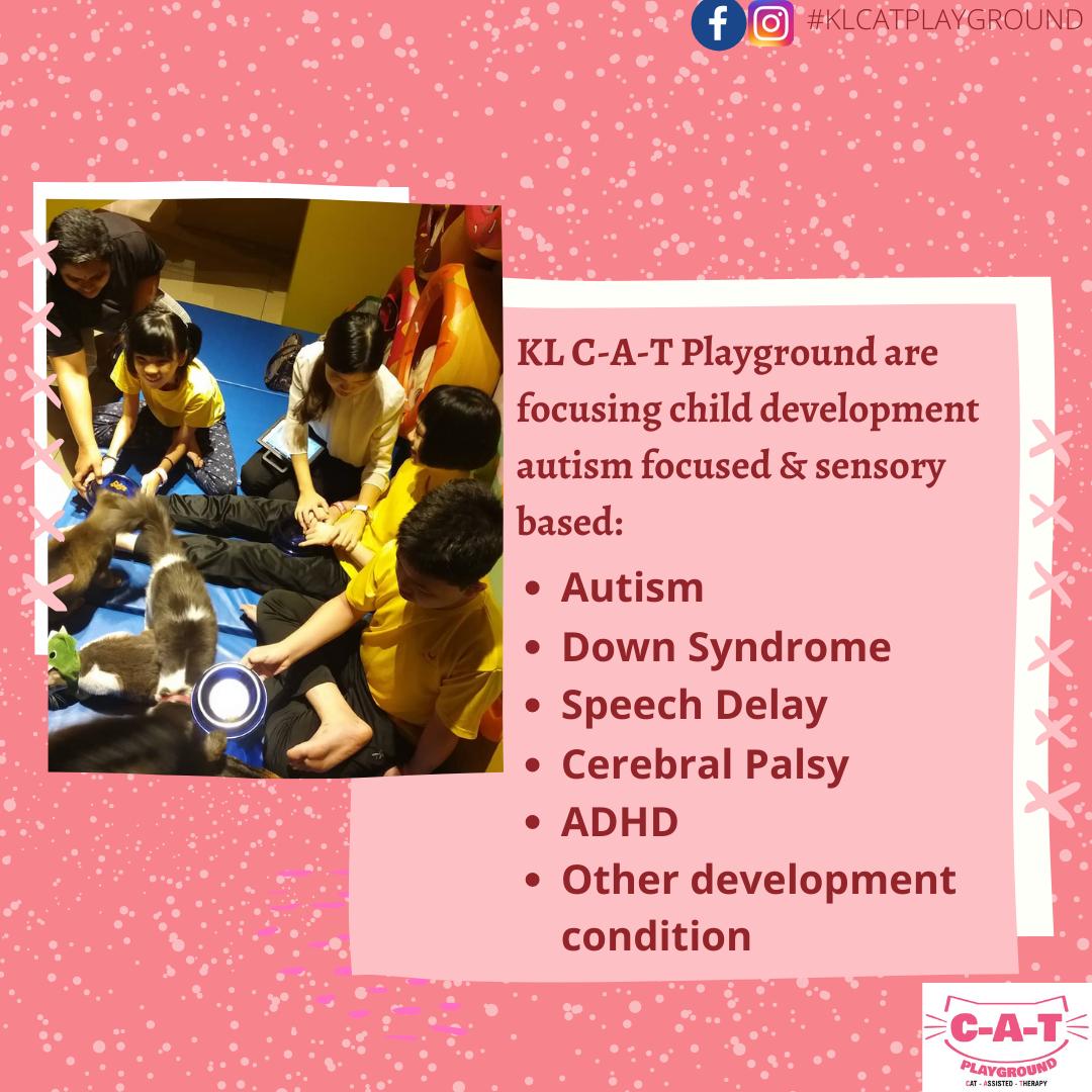 Complete Autism Therapy School ( C-A-T SCHOOL)