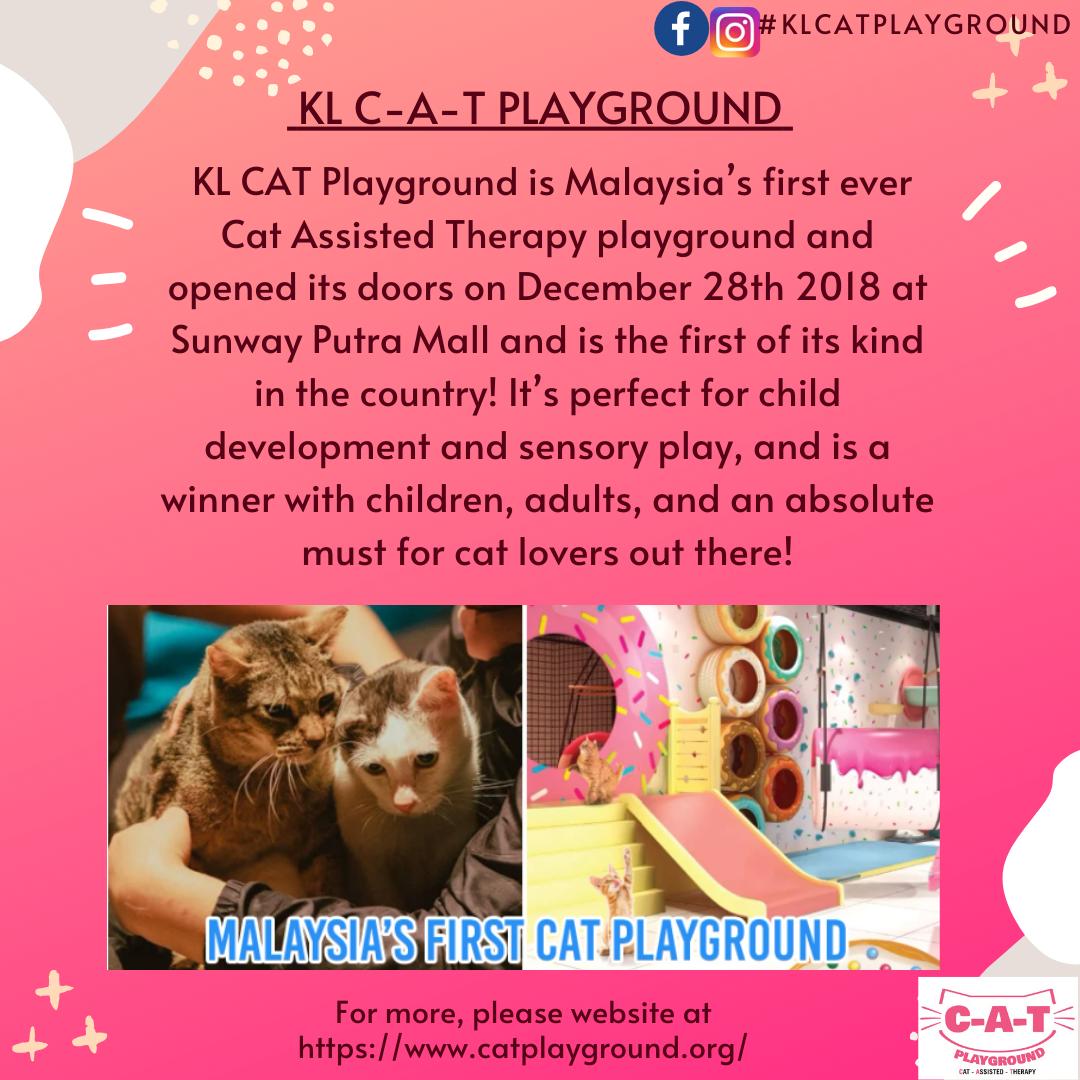 Complete Autism Therapy School ( C-A-T SCHOOL)