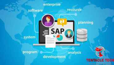 Sap software development company
