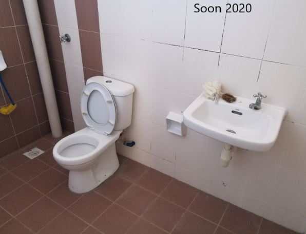 Teratai idaman bandar cassia