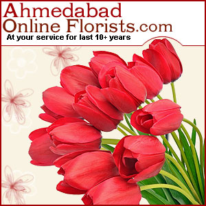 Get Online Delivery of Birthday Flowers, Cakes & Gifts Delivery to Ahmedabad