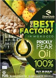 ZINEGLOB/MOOCCAN PRODUCER AND SUPPLIER PRICKLY PEAR OIL