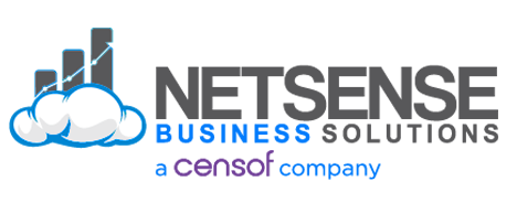 Best ERP Software | Netsense Business Solutions