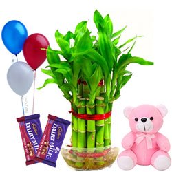 Unique Gifts to Mumbai for your Close Ones on the Same Day at a Lowest Price