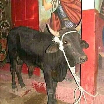 100%%[[+2349022657119]].I WANT TO JOIN SECRET SOCIETY~OCCULT# FOR MOBEY RITUAL.