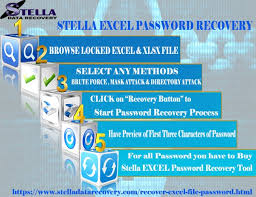 Excel file password recovery solution