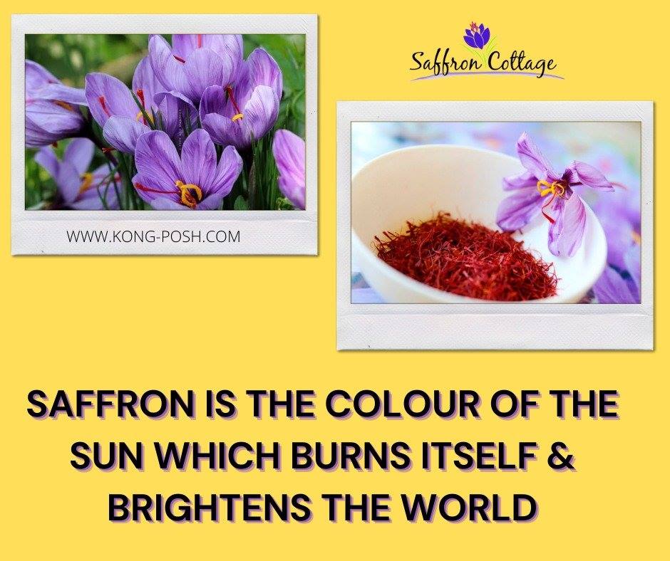 Extraordinary Benefits of Finest Kashmiri Saffron