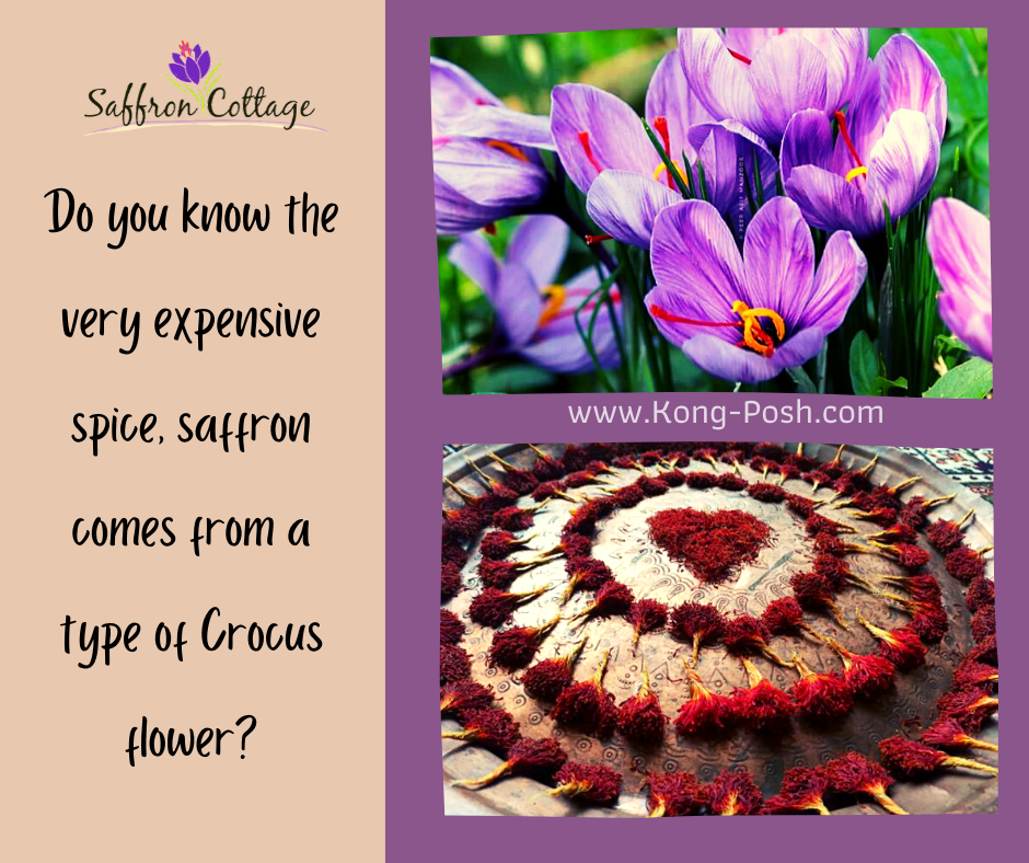 Saffron Field Of Kashmir !