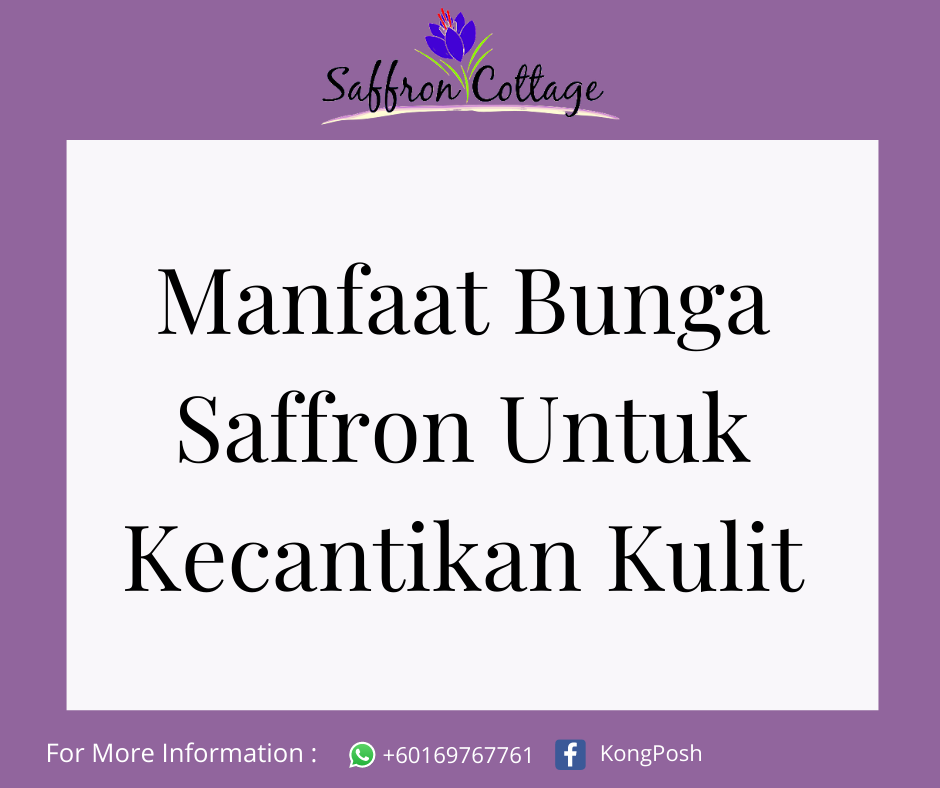 UM research shows promising future for Malaysian saffron !!!