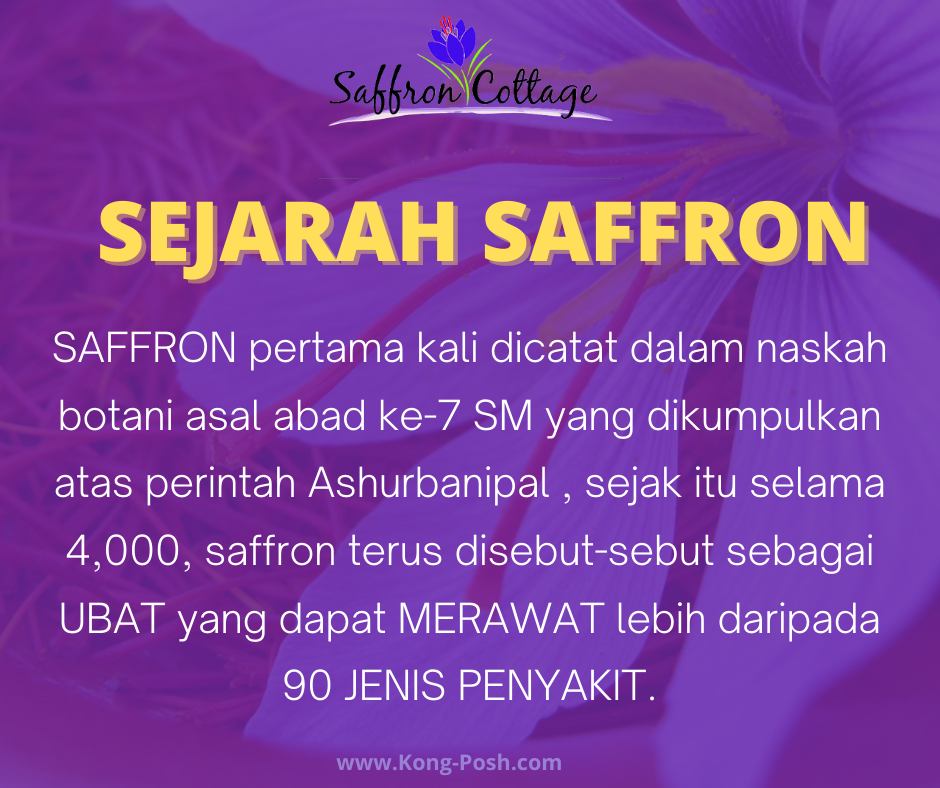 UM research shows promising future for Malaysian saffron !!!