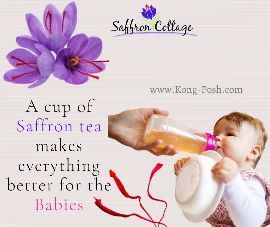 Saffron Supplier Malaysia ?