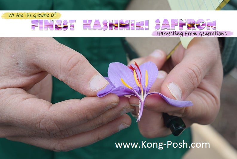 Saffron Field Of Kashmir !