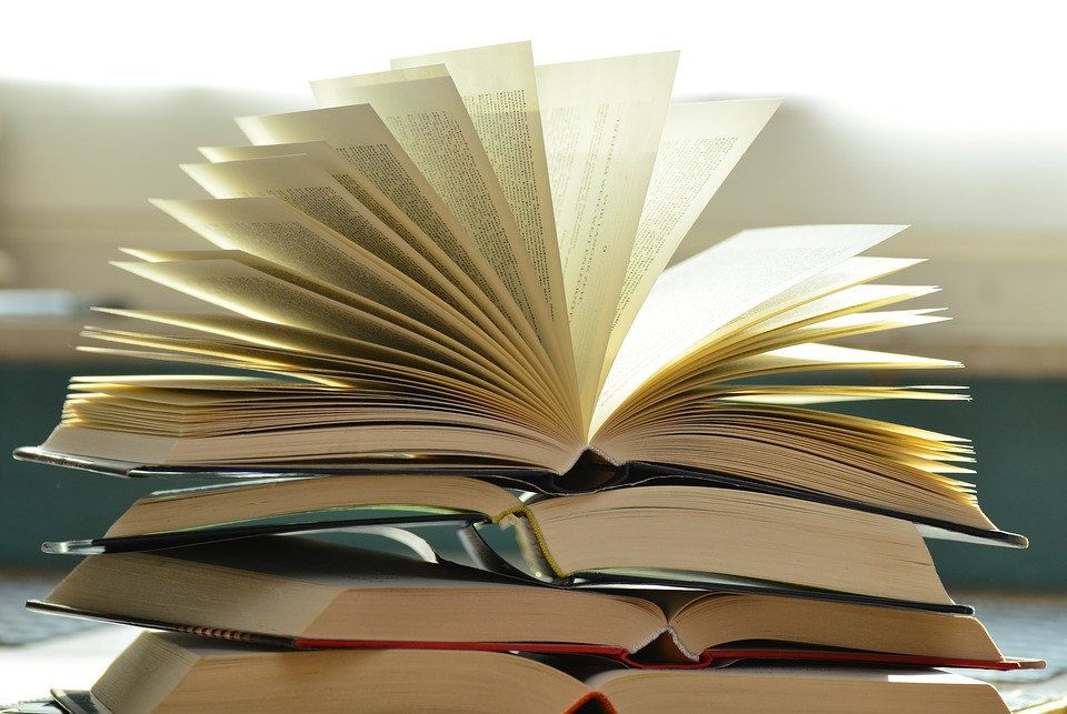 Affordable Online English Tutor