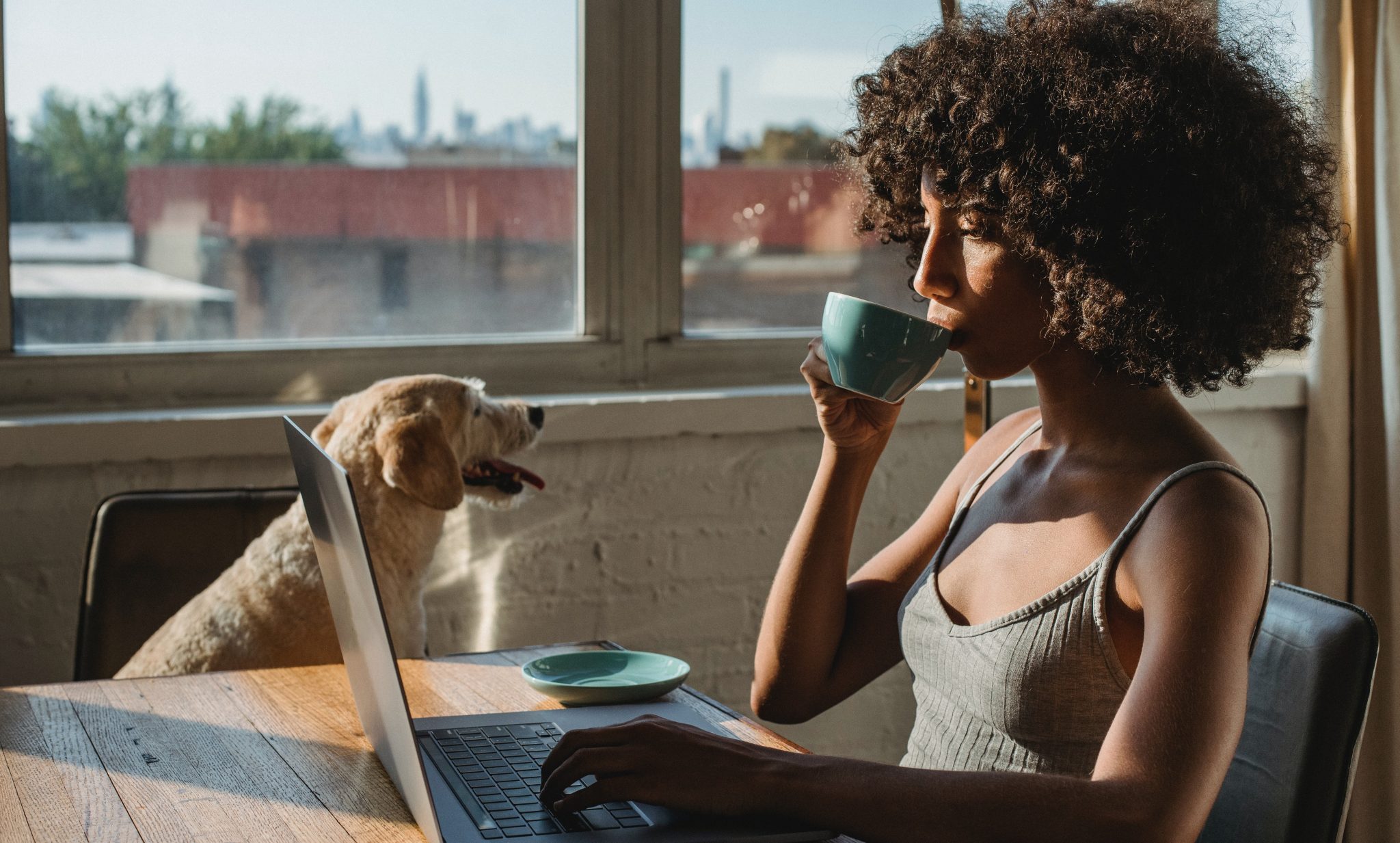 Remote Working Opportunities
