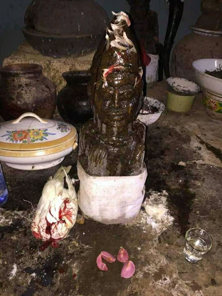 The best powerful herbalist in Nigeria +2348156950703