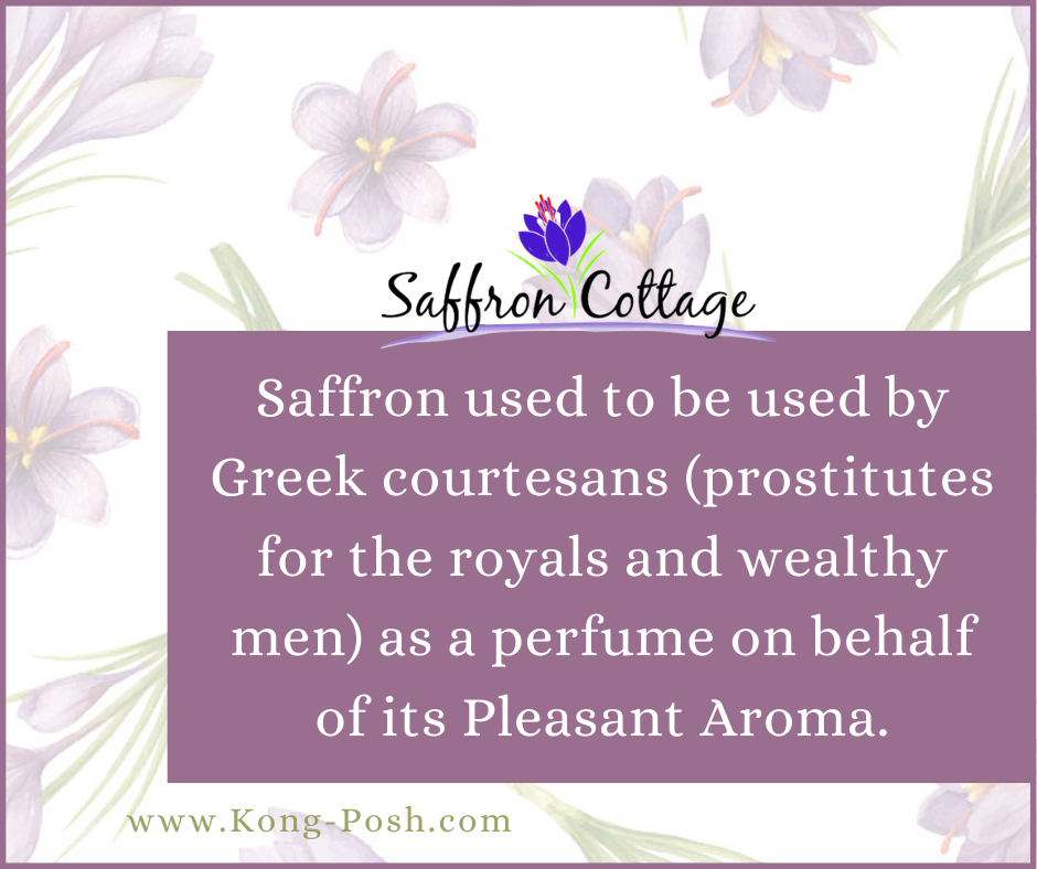 SAFFRON USES in Medicine