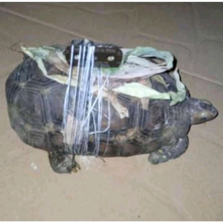 The most powerful spiritual herbalist in Nigeria 08157855288